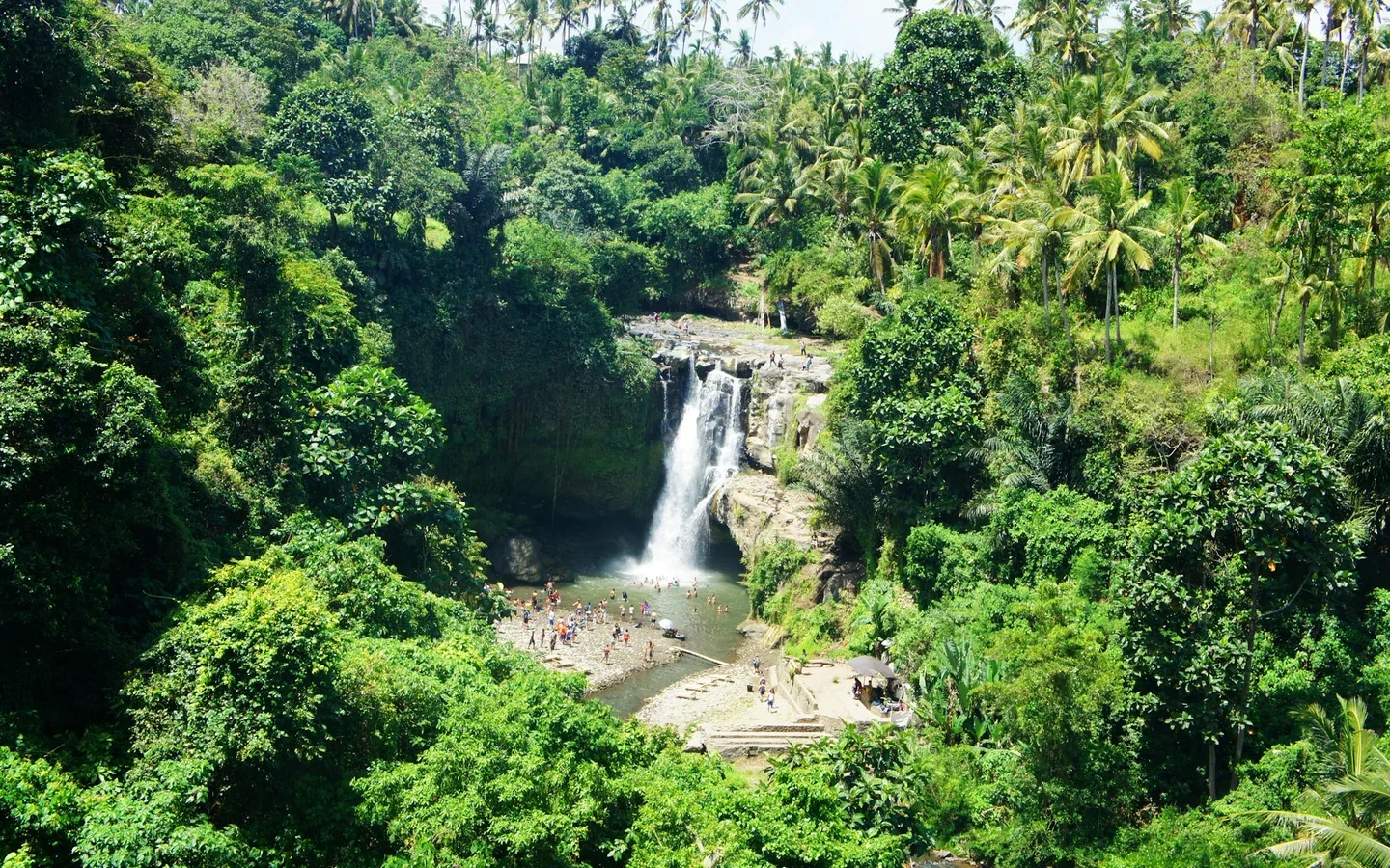 Ubud: Air Terjun, Pura & Sawah Terasering